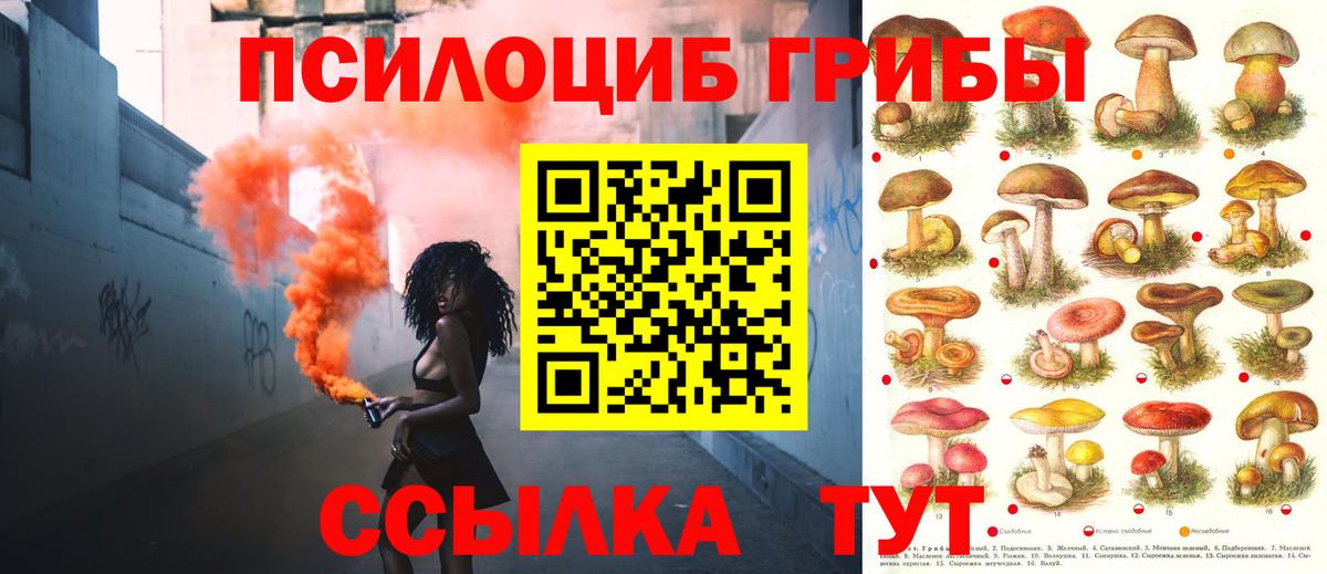 где купить наркоту  Галлюциногенные грибы MAGIC MUSHROOMS  Вход с VPN  Мирный 